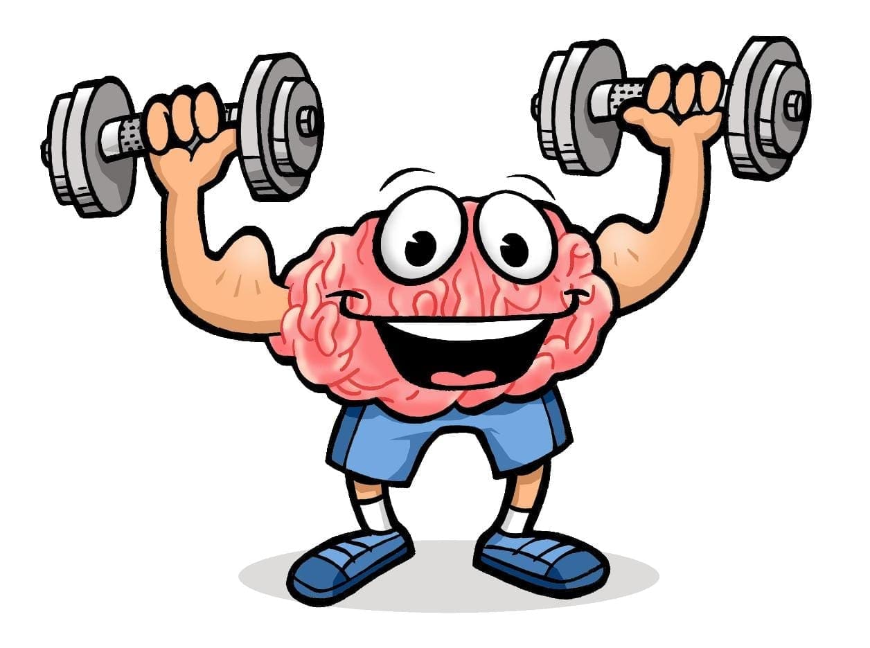 Neuroplasticity What On Earth Is That Pinnacle Spine Sports