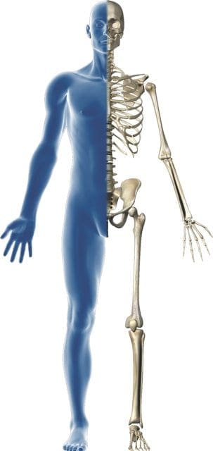 cutout-body
