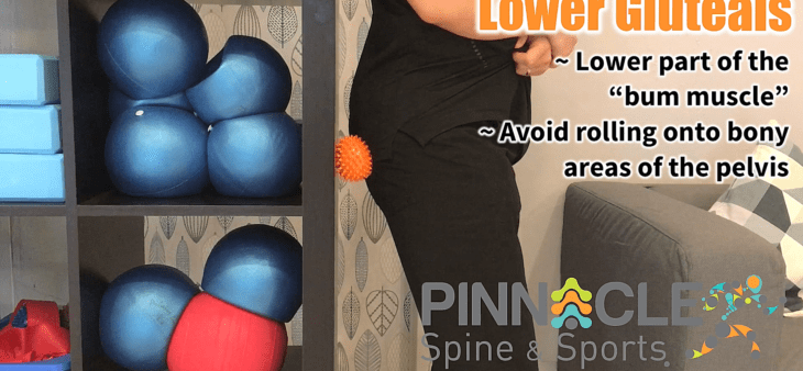 lower gluteals – spiky ball
