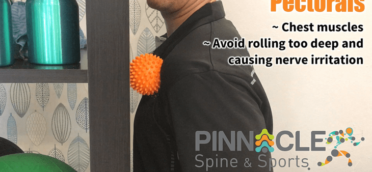 pectorals – spiky ball