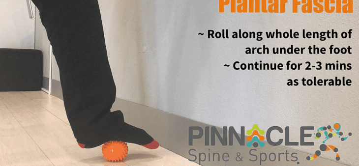 plantar fascia – spiky ball