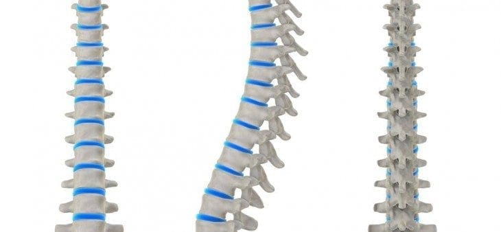 shutterstock_4099411-spine